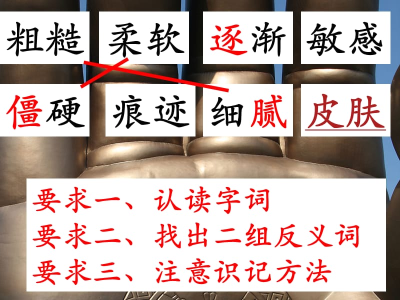 《手上的皮肤》PPT课件.ppt_第3页