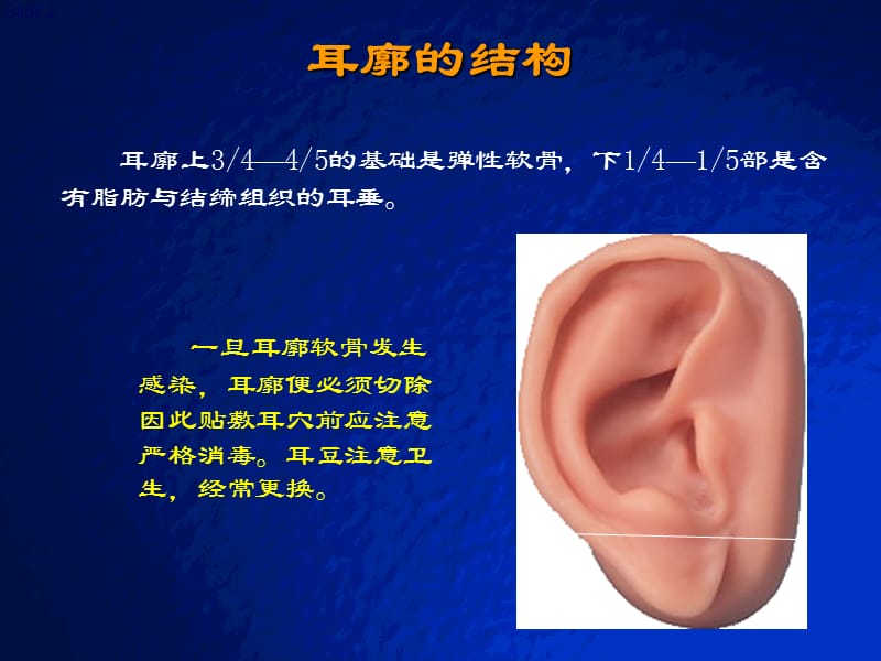 【医药】耳穴快速记忆法、定位法及各种操作方法2（共88页）.ppt_第2页