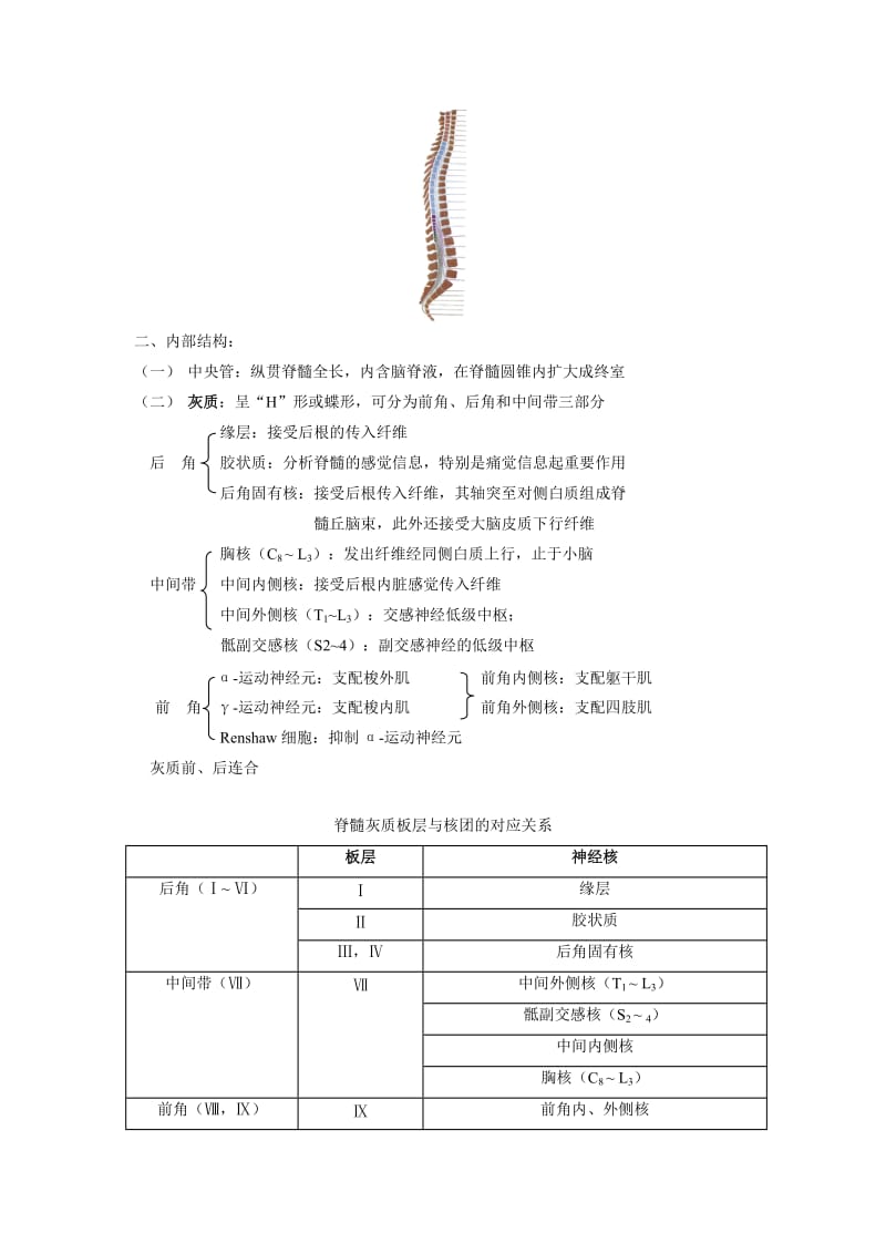 2019第十七章中枢神经系统.doc_第2页