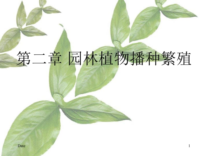 13第二章 园林植物播种育苗.ppt_第1页