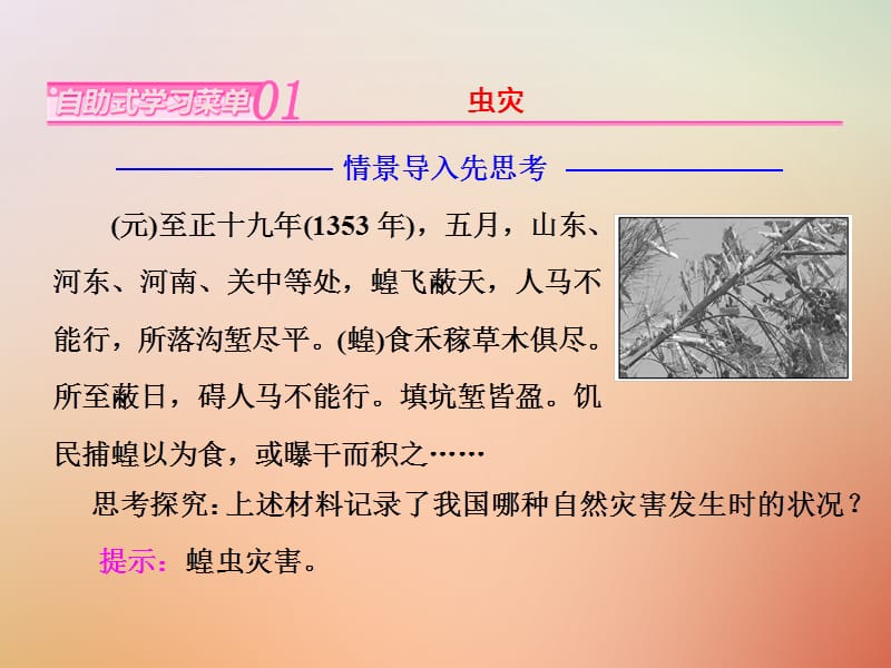 2019_学年高中地理第二单元从主要灾种了解自然灾害第三节生物灾害课件鲁教版选修.ppt_第2页