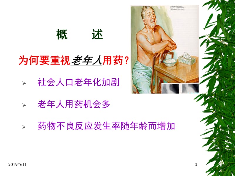 老年人合理用药.ppt_第2页