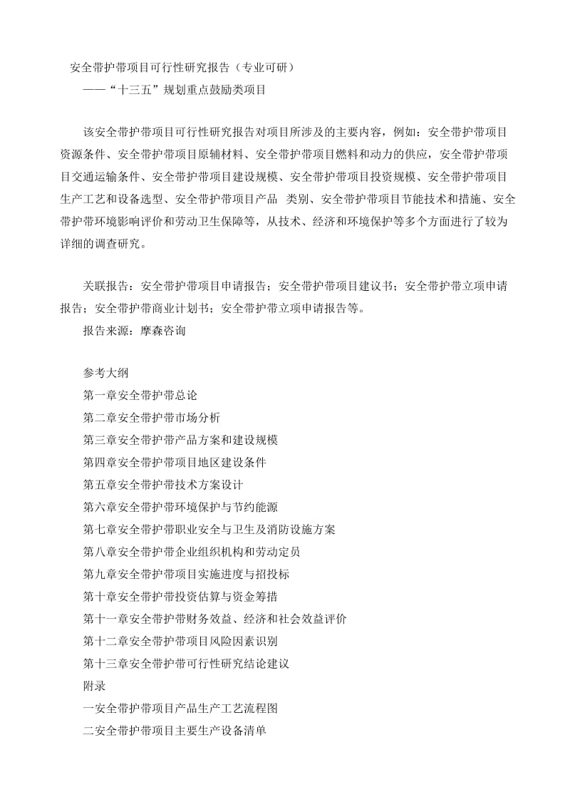 2019nf安全带护带项目可行性研究报告(专业可研).doc_第1页