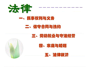 生活中的法律常识(3).ppt