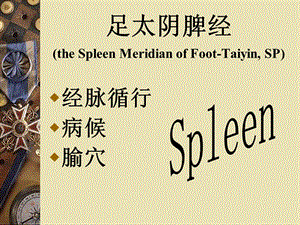 足太阴脾经theSpleenMeridianofFoot-TaiyinSPP.ppt