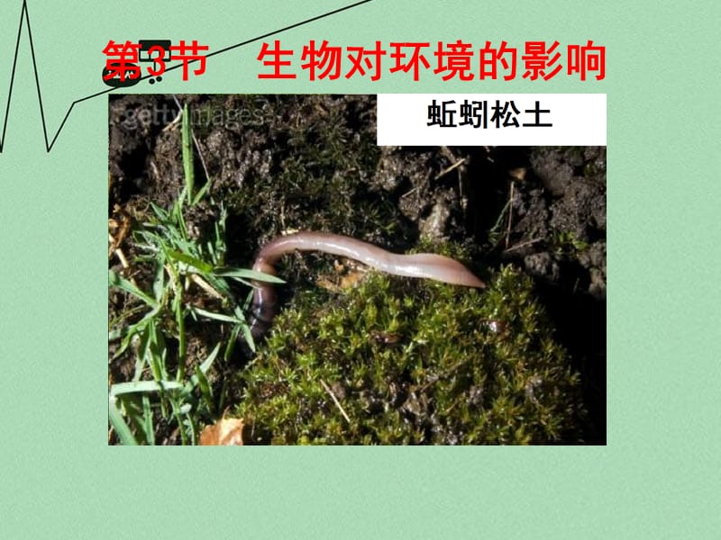 2019【名师课堂】七年级生物上册 2.3 生物对环境的影响课件 （新版）苏科版.ppt_第2页