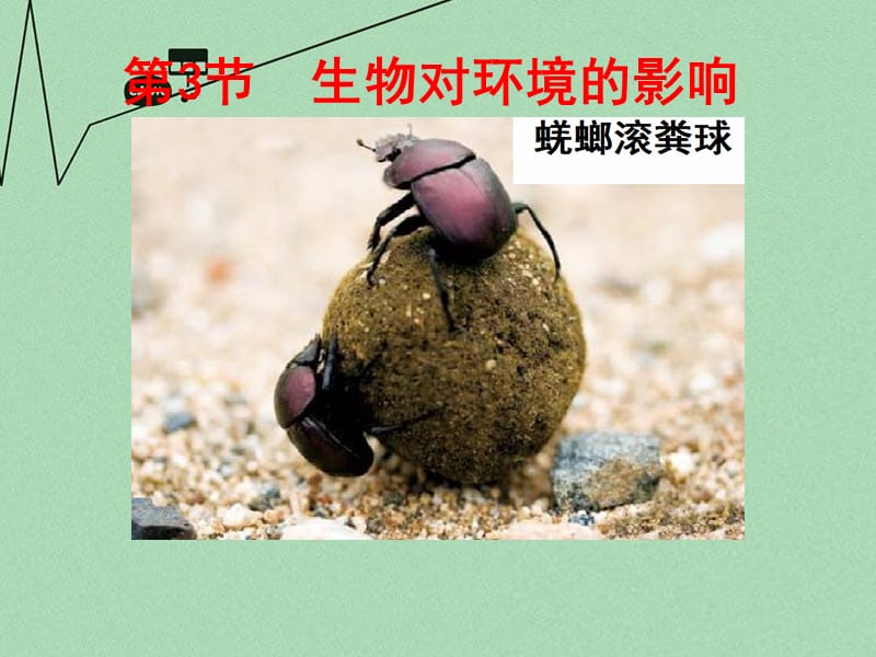 2019【名师课堂】七年级生物上册 2.3 生物对环境的影响课件 （新版）苏科版.ppt_第3页