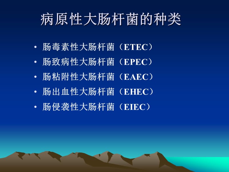 《大肠杆菌病》PPT课件.ppt_第3页