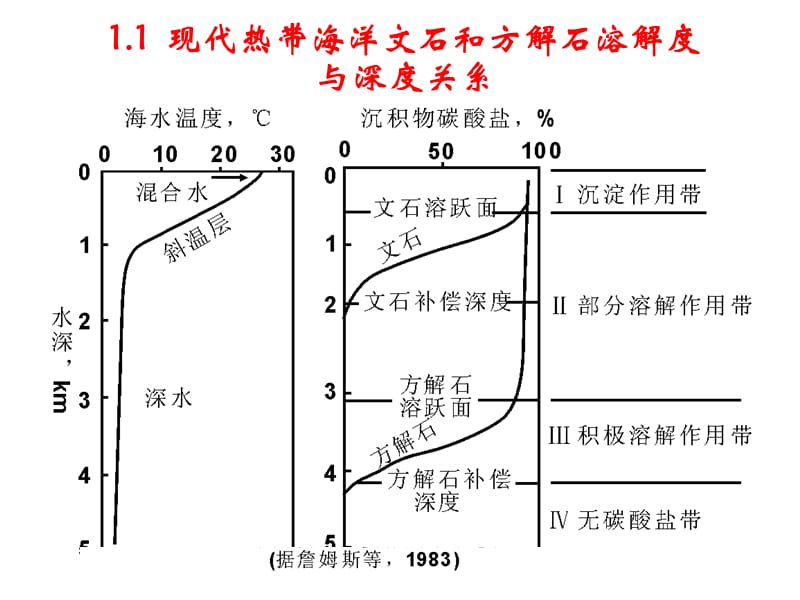 碳酸盐岩成岩后生作用.ppt_第3页