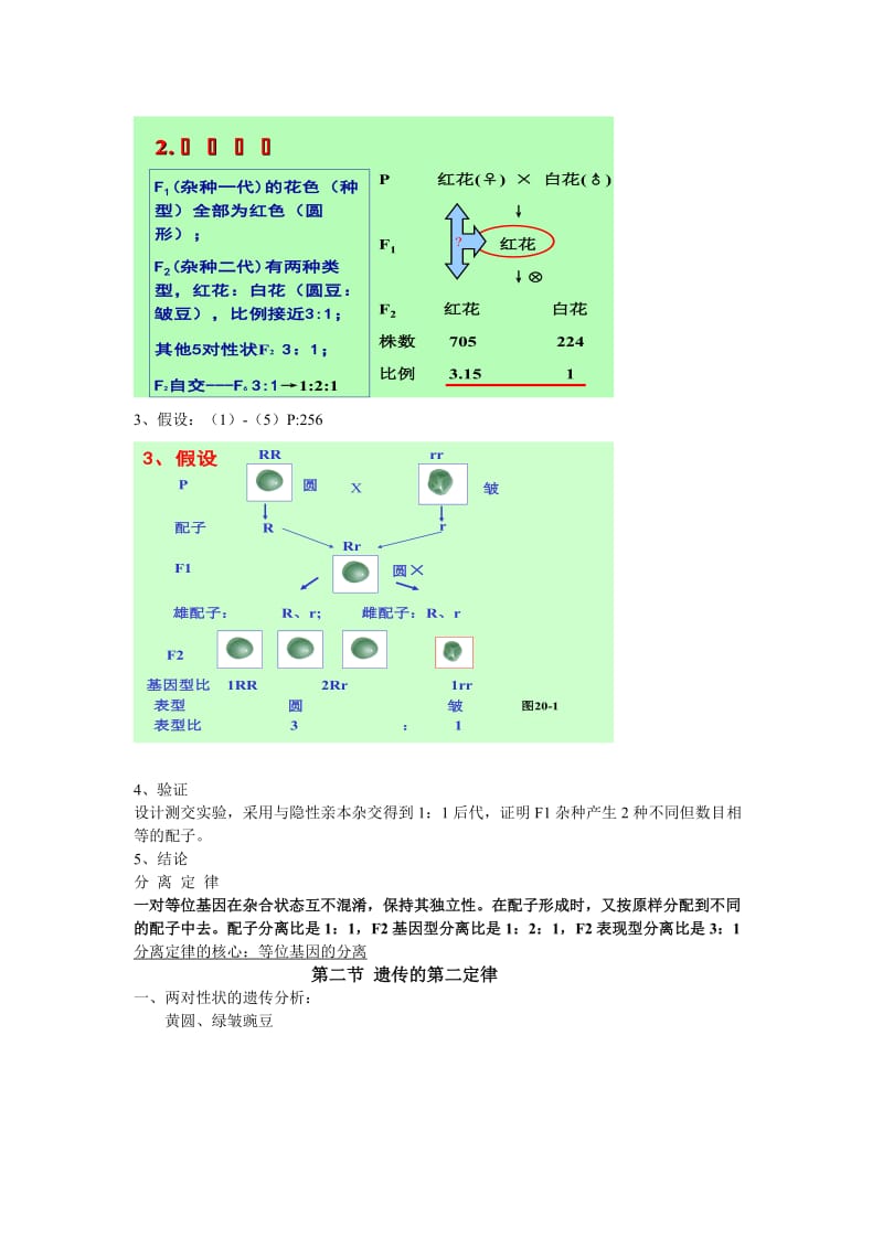 2019第五章遗传与变异.doc_第2页