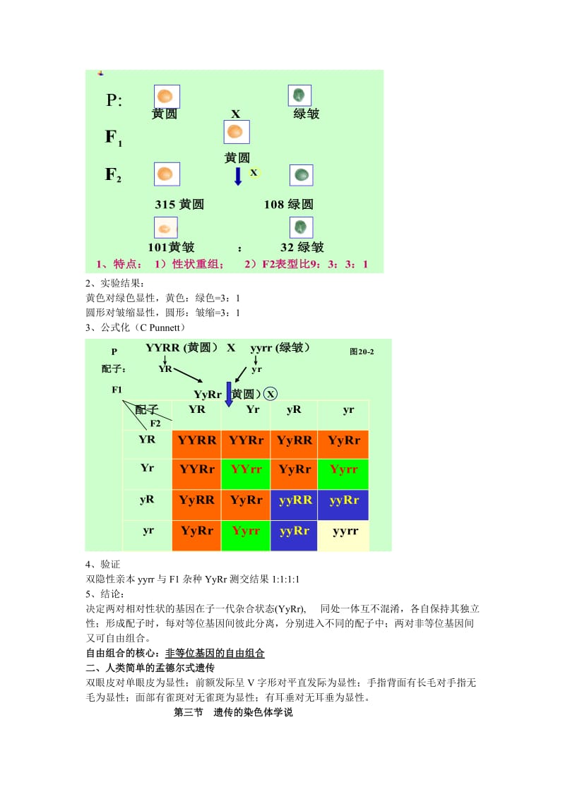 2019第五章遗传与变异.doc_第3页