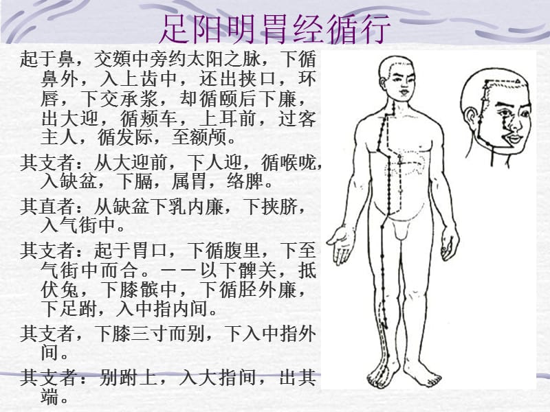 足阳明胃经theStomatchMeridianofFootYangmingST.ppt_第2页