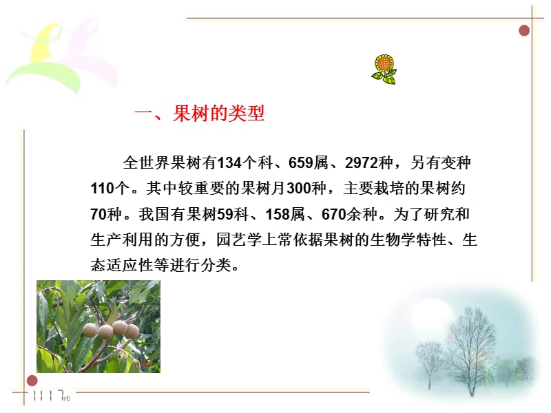 果树的类型与基本结构课件.ppt_第2页