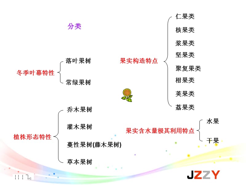 果树的类型与基本结构课件.ppt_第3页