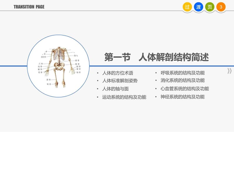 《现场急救处置》第二章.ppt_第3页