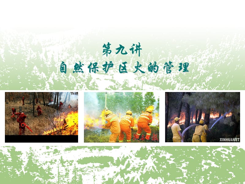 自然保护区火的管理.ppt_第1页