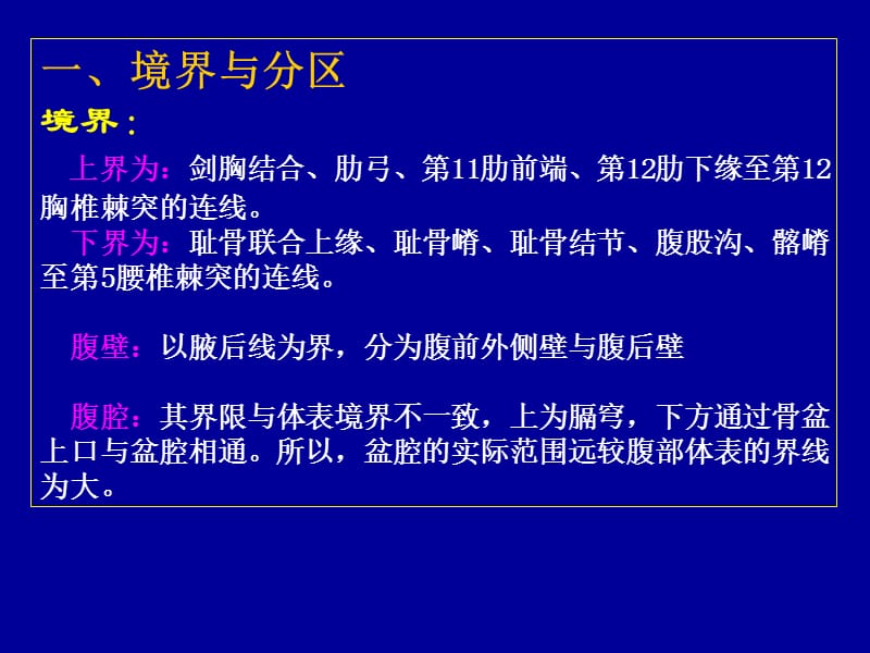 腹部简介学生用ppt课件(1).ppt_第3页