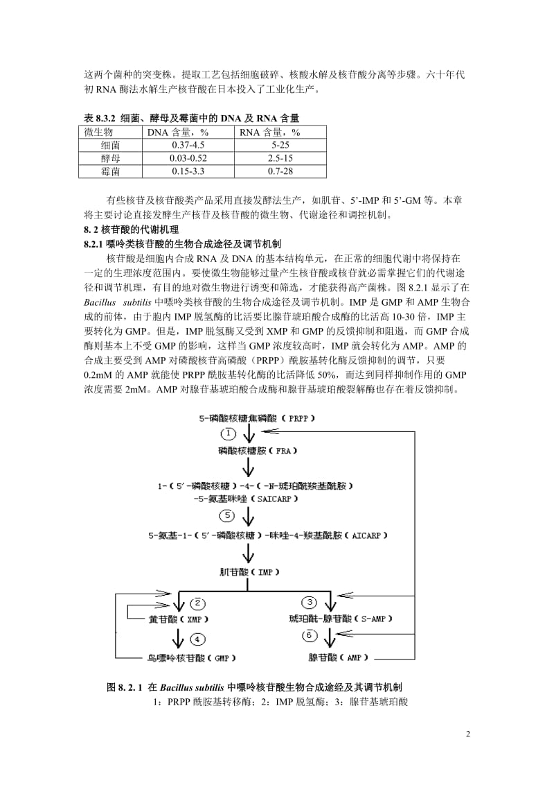 【生物课件】第八章 核苷、核苷酸及其类似物的微生物发酵.doc_第2页