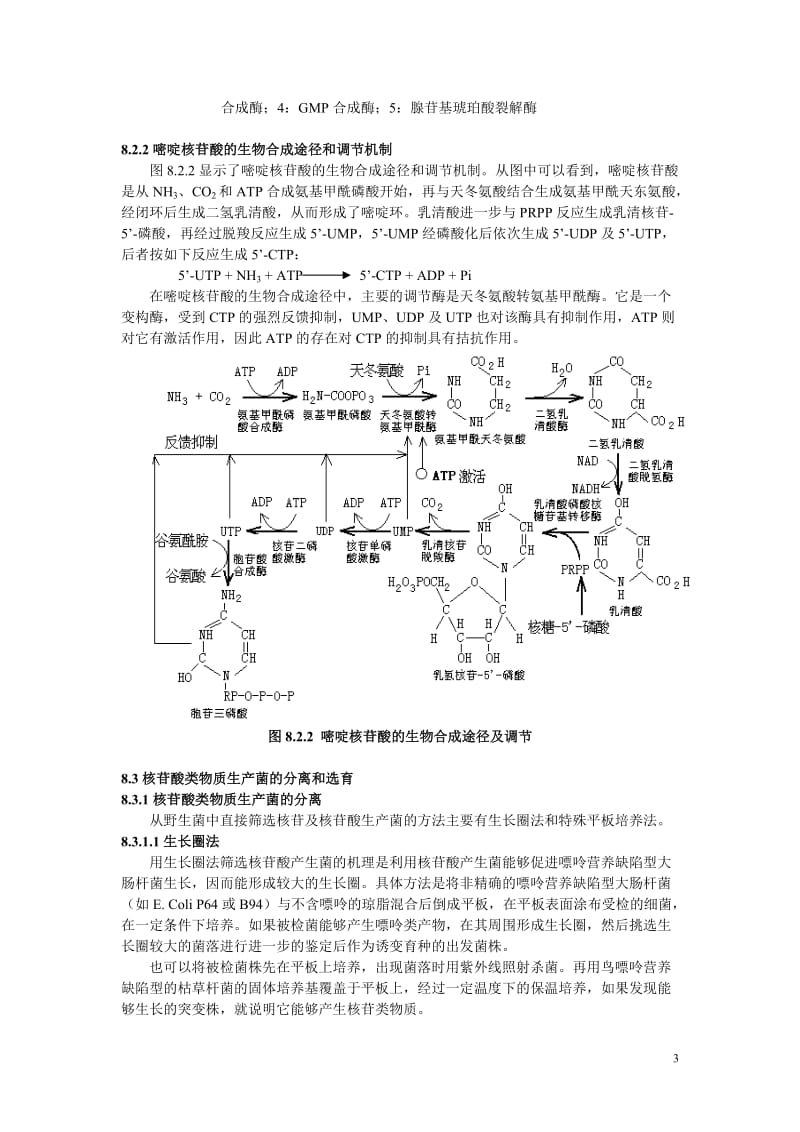 【生物课件】第八章 核苷、核苷酸及其类似物的微生物发酵.doc_第3页