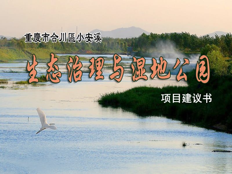 案例1：重庆合川小安溪湿地公园.ppt_第1页