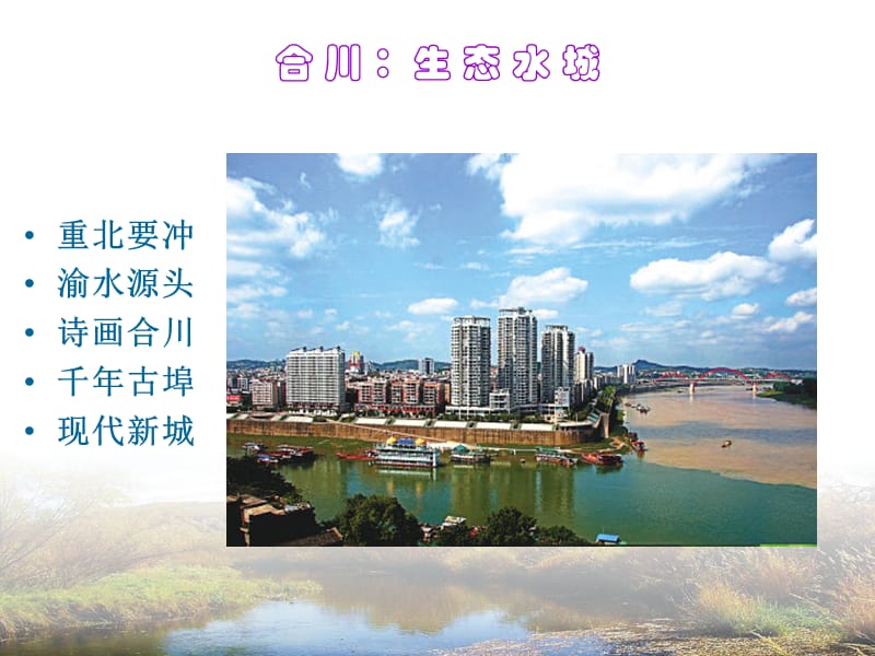 案例1：重庆合川小安溪湿地公园.ppt_第3页