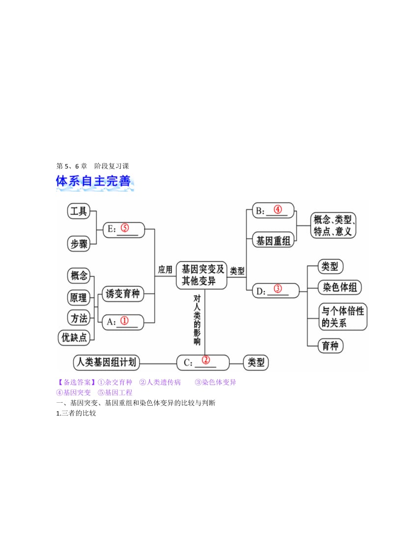 2019第五章第六章复习.doc_第1页