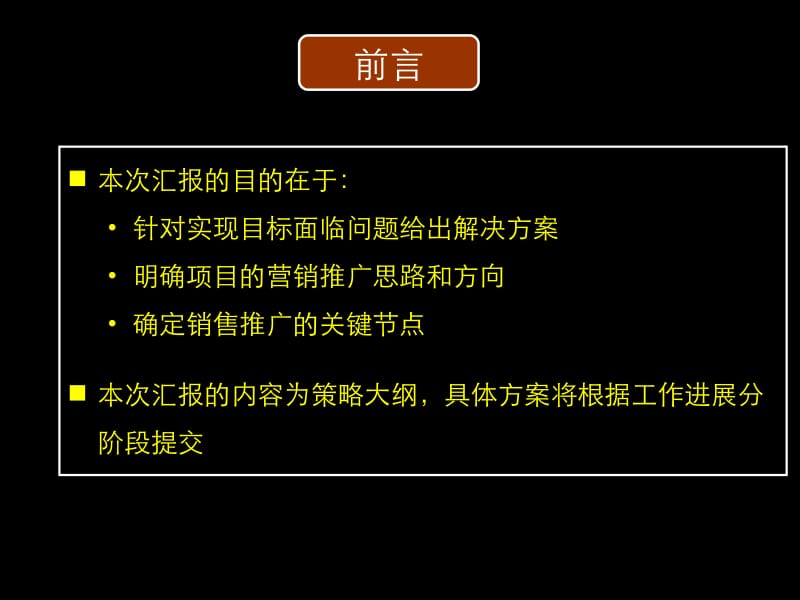 20110612_武汉城市广场营销策略总纲.ppt_第2页