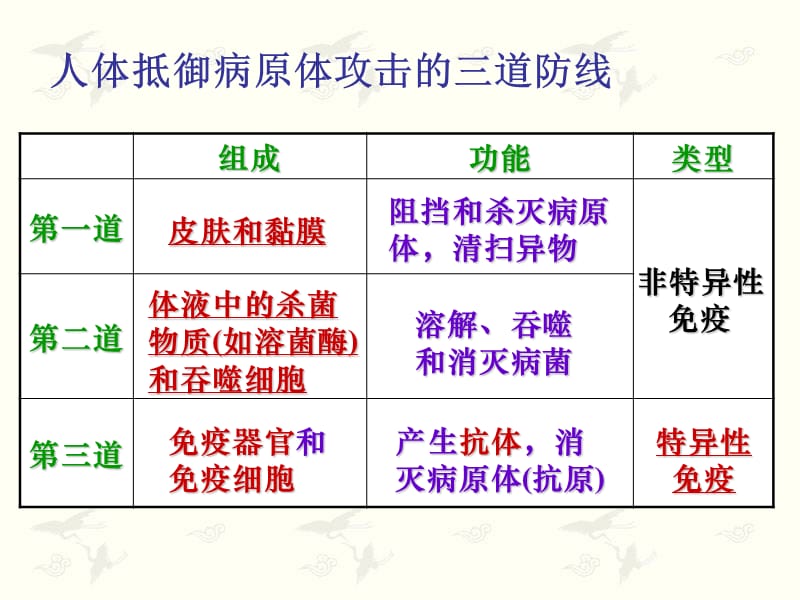 《免病调节》PPT课件.ppt_第2页