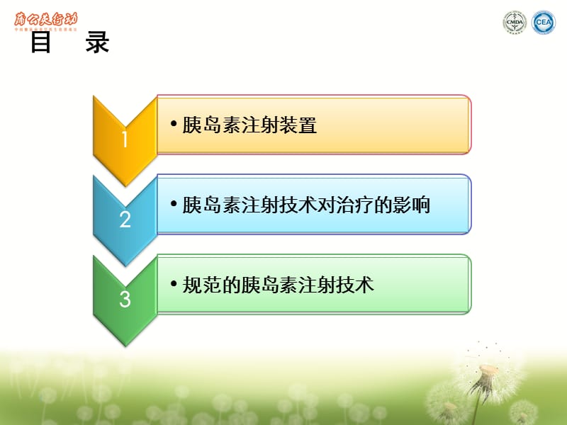 胰岛素注射技术及注射装置.ppt_第3页