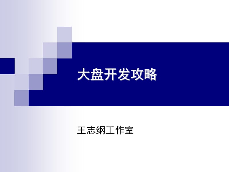 《大盘开发攻略》PPT课件.ppt_第1页