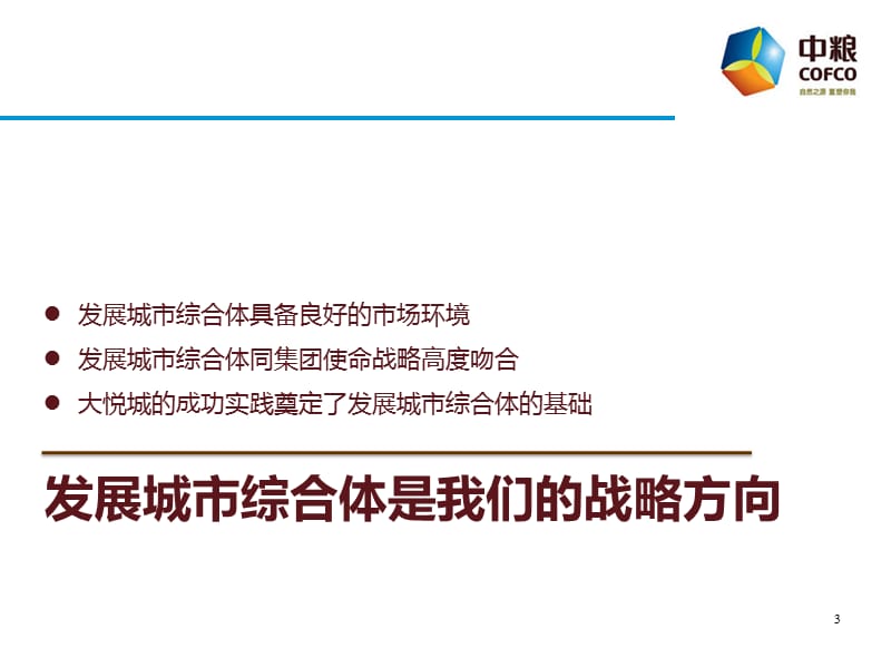 2010年某集团发展城市综合体,推动大地产整合的大地产战略.ppt_第3页