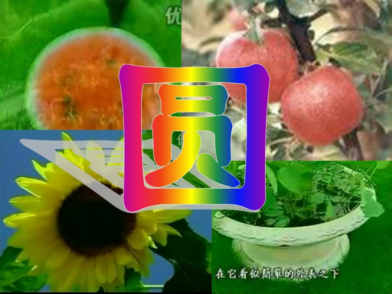 《圆的周长》PPT课件.ppt_第2页