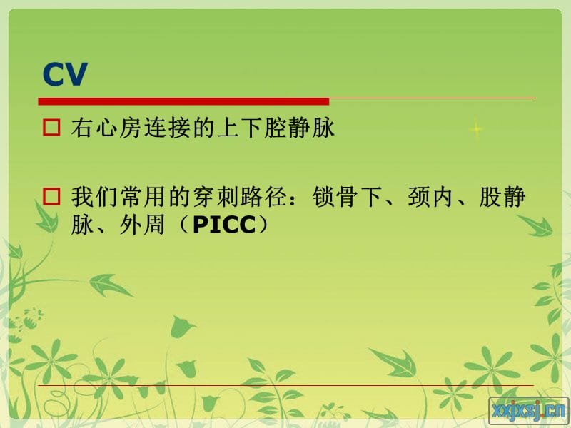 PICC深静脉置管护理.ppt_第2页