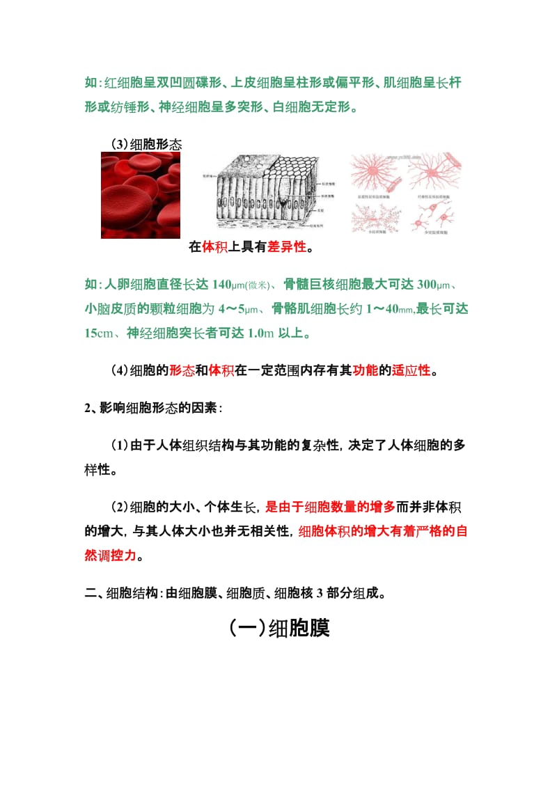 2019第一篇人体组成的结构基础Microsoft Word 文档.doc_第3页