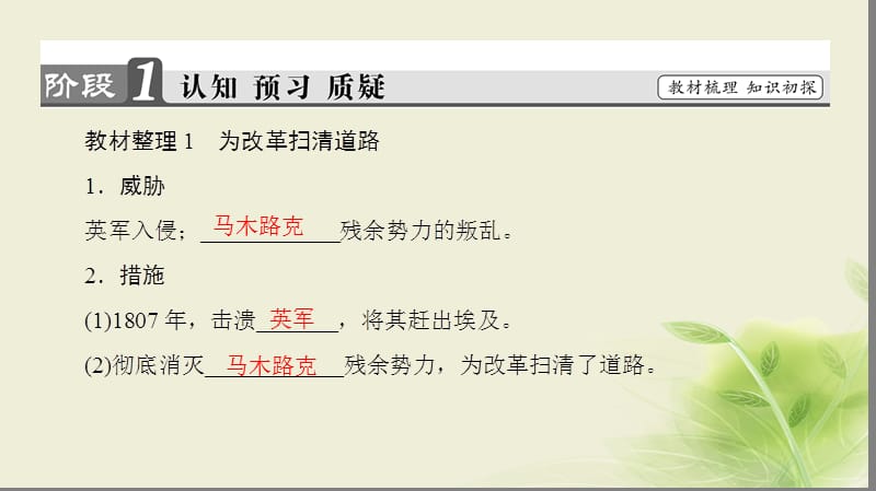 2019_学年高中历史第六章埃及穆罕默德&amp#8226;阿里改革2穆罕默德&amp#8226;阿里改革课件北师大版选修108140182.ppt_第3页