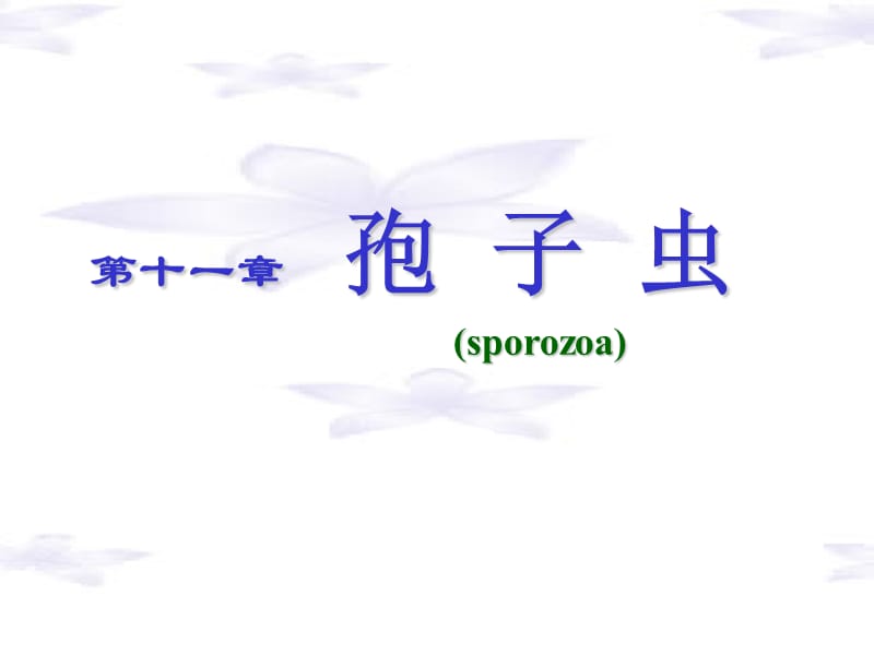 疟原虫、弓形虫PPT课件.ppt_第1页