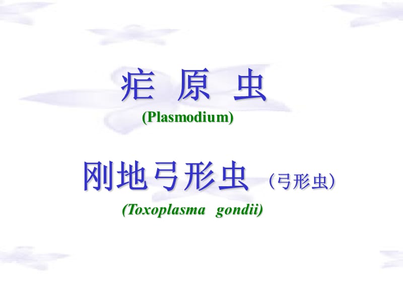 疟原虫、弓形虫PPT课件.ppt_第2页