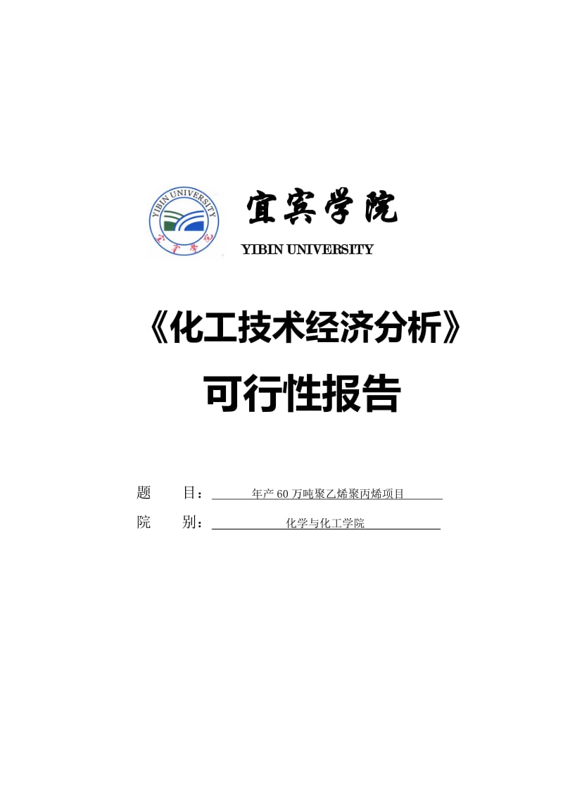 2019tm产60万吨聚乙烯聚丙烯建设项目可行性研究报告.doc_第1页