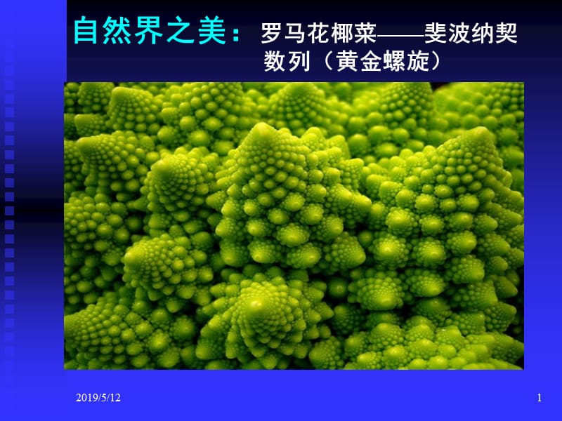 自然界之美罗马花椰菜斐波纳契数列黄金螺旋.ppt_第1页