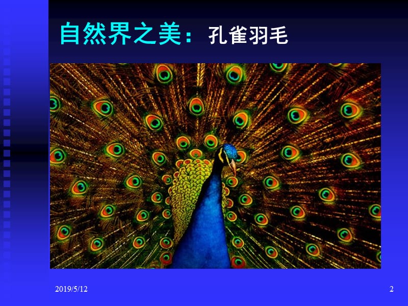 自然界之美罗马花椰菜斐波纳契数列黄金螺旋.ppt_第2页