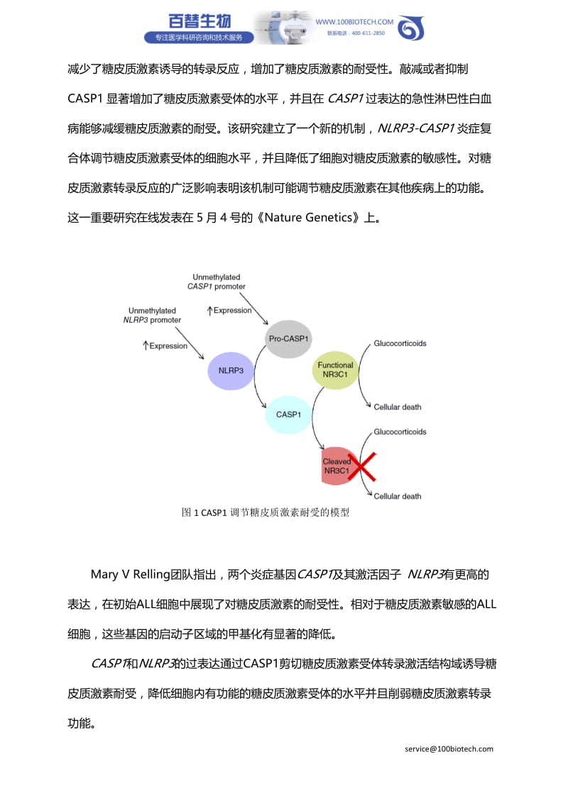 【独家权威解读】Nature Genetics,糖皮质激素耐受新机制 ——为急性淋巴细胞白血病等疾病提供新思路.doc_第3页