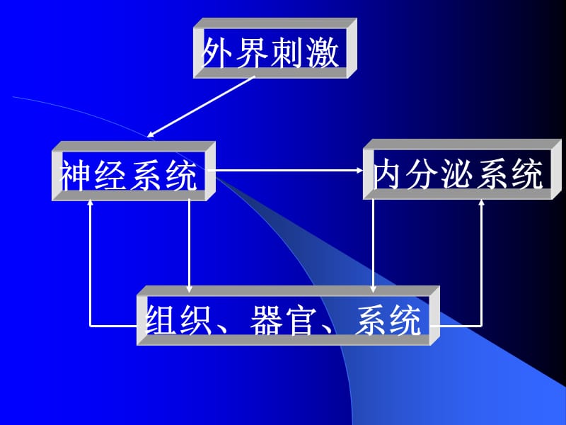 组织器官系统ppt课件.ppt_第1页