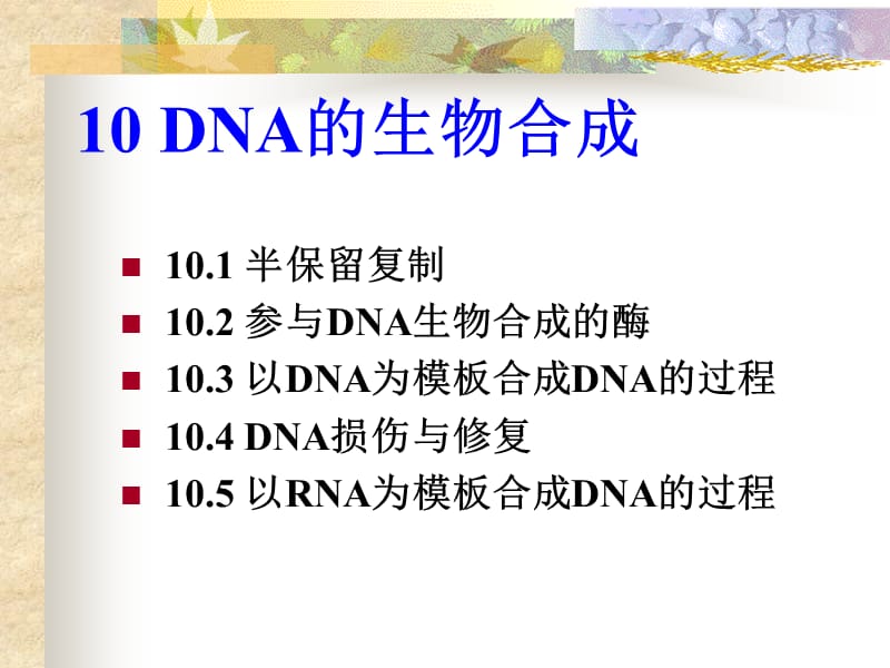 DNA的生物合成PPT课件.ppt_第1页