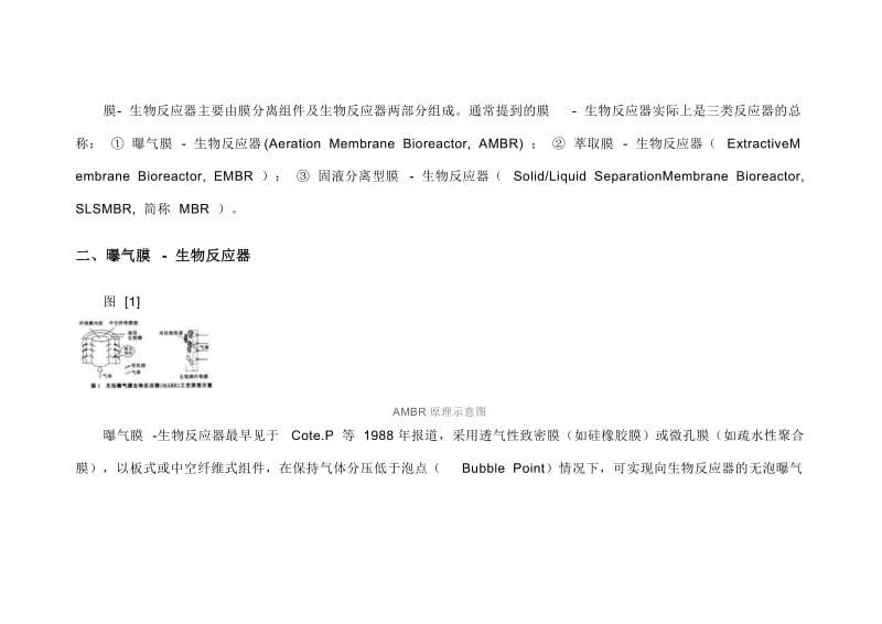 2019MBR膜生物反应器.doc_第3页