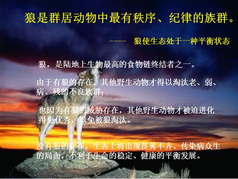 组织行为学狼的智慧.ppt_第3页