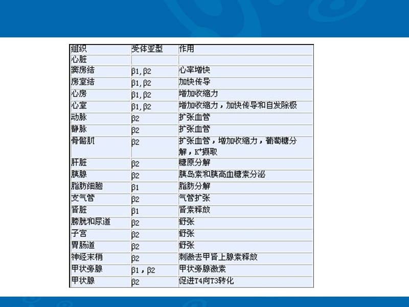 β阻断剂在心血管疾病临床应用的中国专家共识PPT课件.ppt_第3页