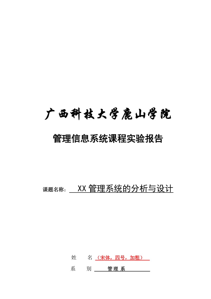 2019管理信息系统课程实验报告范文.doc_第1页