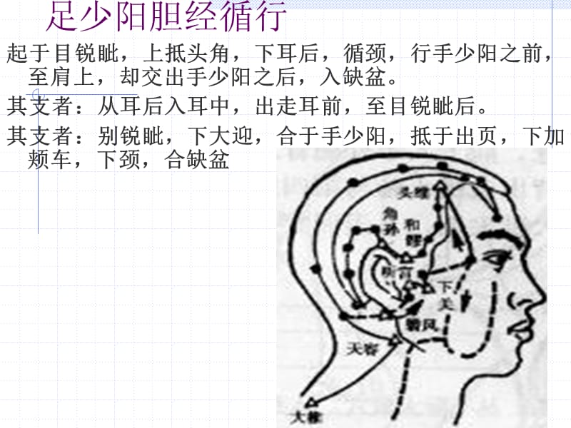 足少阳胆经theGallbladderMeridianofFoot-ShaoyangGB.ppt_第3页