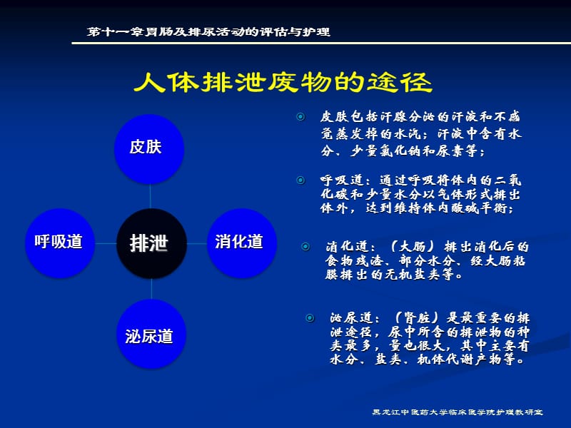 胃肠及排尿活动的评估与护理.ppt_第3页