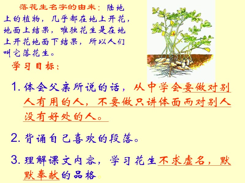 长春版六年级上册落花生课件.ppt_第2页